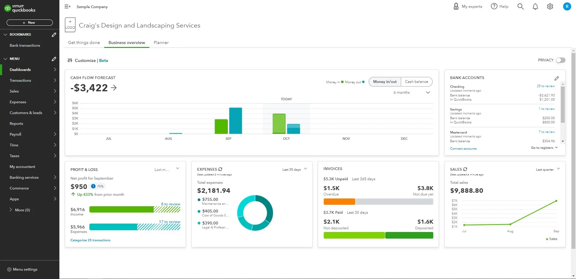 accounts software screenshot